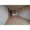 Comforia Shinjuku East Side Tower - Interior - ["Brown", "Property", "Wood"] thumbnail