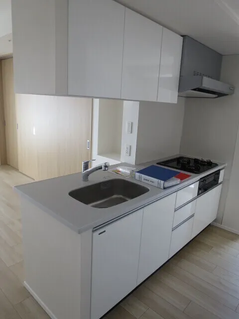 Emily Shakujii Park - Interior - ["Kitchen", "Kitchen Sink", "Countertop"]