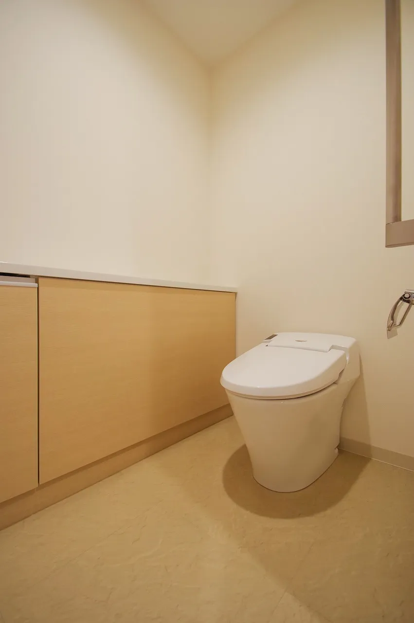 Central Park Tower La Tour Shinjuku - Interior - ["Plumbing fixture", "Toilet seat", "Picture frame"]