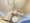 Capy In Plaza Kita Koiwa 5th floor part thumbnail