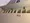 Doue Ryogoku III - Interior - ["Wood", "Flooring", "Stairs"] thumbnail