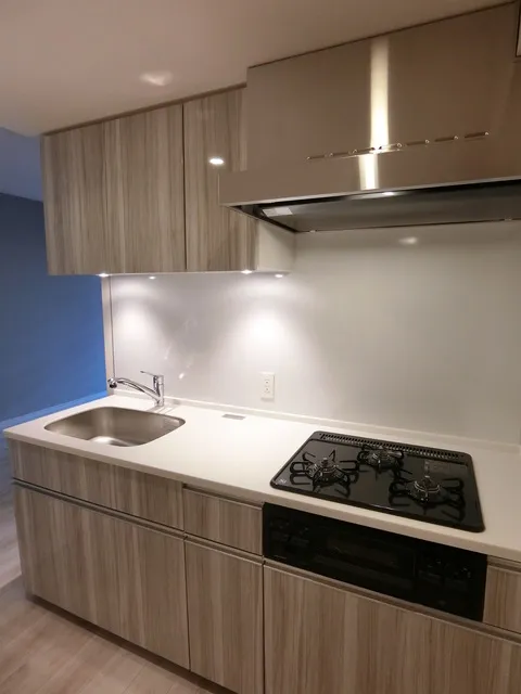 SOLASIA Residence Kyobashi - Interior - ["Cabinetry", "Kitchen sink", "Sink"]