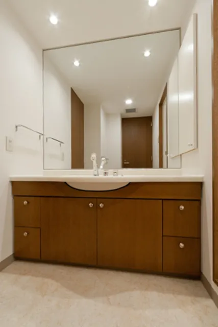 Nishiwaseda Park Tower - Interior - ["Flooring", "Interior design", "Bathroom Sink"]