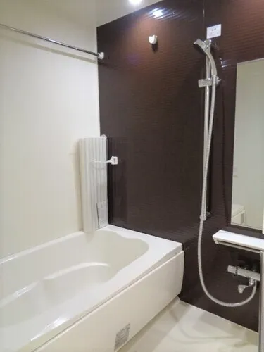 Lions Fausia Iriya East - Interior - ["Bathtub", "Property", "Plumbing fixture"]