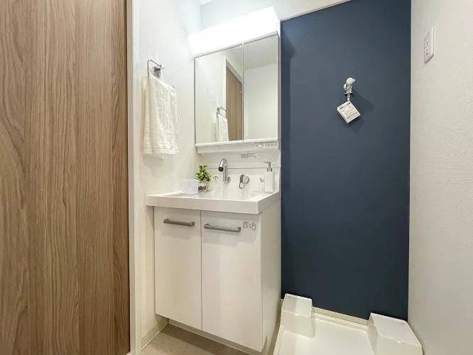 Ibis Nishiogi Room 302