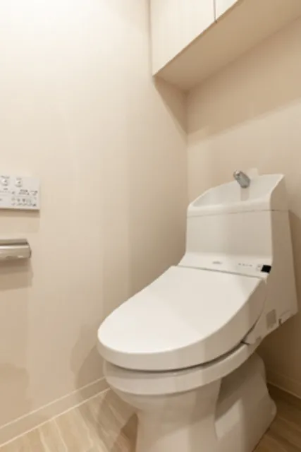 Rumireis Toyosu - Interior - ["Flooring", "Interior design", "Toilet seat"]