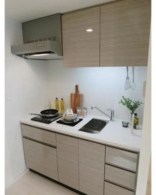 Park Axis Toyosu Canal - Interior - ["Kitchen", "Sink", "Countertop"]