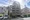 Lupinus Azabu City Form thumbnail