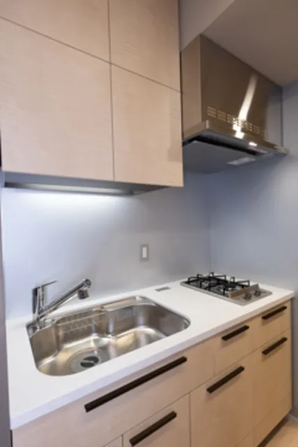 Park Homes Nishikoyama - Interior - ["Kitchen sink", "Cabinetry", "Property"]