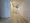 Harmony Residence Kamata Art Villa - Interior - ["Building", "Door", "Wood"] thumbnail