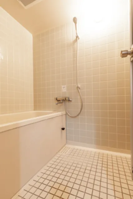 Prince Rona - Interior - ["Plumbing fixture", "Shower head", "Bathroom"]