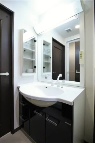 Luxury Apartment East Nihonbashi - Interior - ["Bathroom Sink", "Plumbing fixture", "Interior design"]