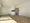 Esty Maison Toyosu Residence - Interior - ["Floor", "Flooring", "Wood flooring"] thumbnail