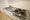 Comforia Nakano - Interior - ["Sink", "Cabinetry", "Kitchen sink"] thumbnail