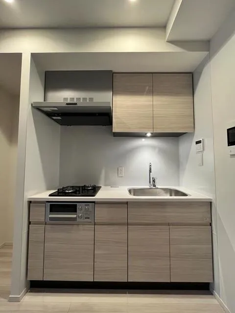 Park Axis Monzennakacho Terrace - Interior - ["Cabinetry", "Countertop", "Kitchen sink"]