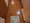 Excelia Bunkyo Ikenohata - Interior - ["Flooring", "Wood", "Floor"] thumbnail