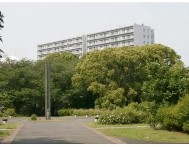 Park Axis Tatsumi Stage - Other - ["Plant", "Sky", "Street light"]