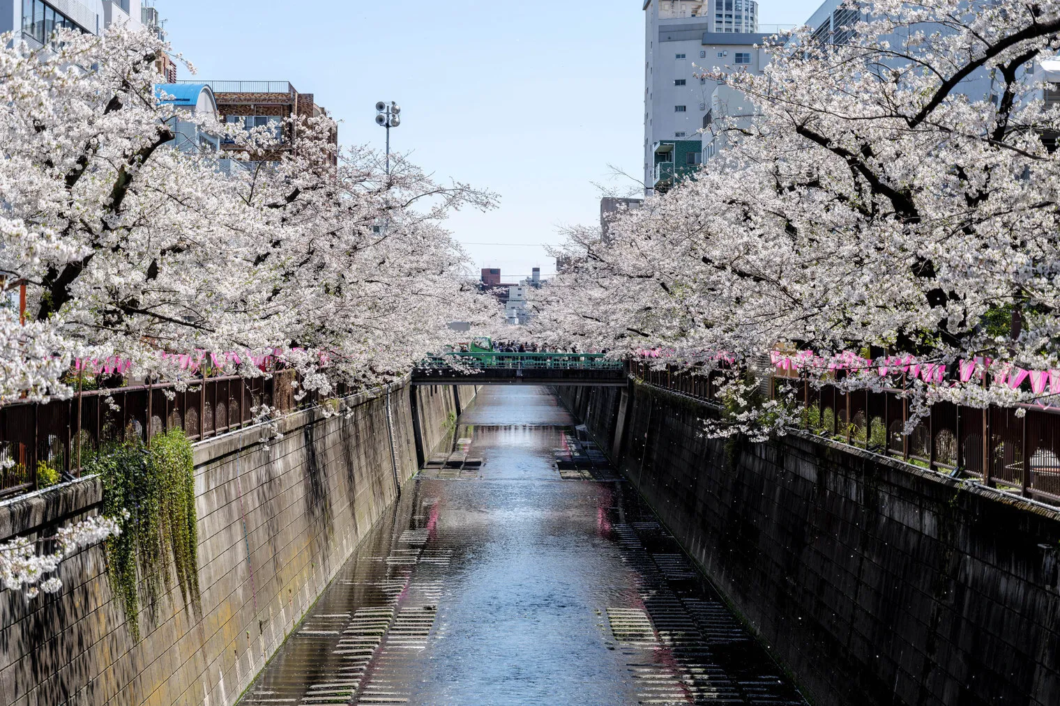 The Parkhabio Meguro Place - Exterior - []