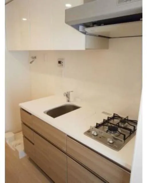 Park Axis Shibaura - Interior - ["Kitchen", "Countertop", "Kitchen Sink"]