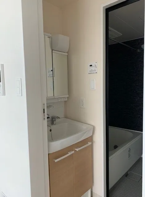 Libare Higashi Shinjuku - Interior - ["Mirror", "Tap", "Bathroom cabinet"]