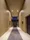 Milia Residence Negishi Yanagi Dori - Exterior - ["Building", "Floor", "Flooring"] thumbnail