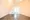 Maple Shin Nakano - Interior - ["Flooring", "Floor", "Wood"] thumbnail