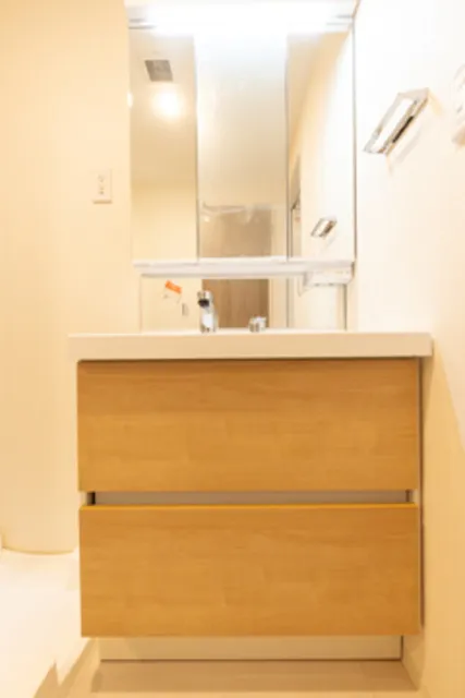 YUNO ART KAMEIDO - Interior - ["Mirror", "Cabinetry", "Bathroom cabinet"]