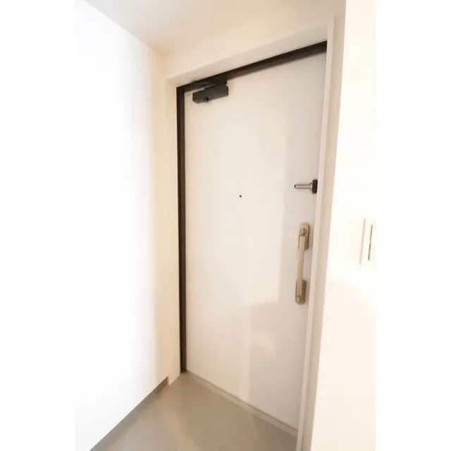 Livicourt Lower Case - Interior - ["Fixture", "Handle", "Door"]