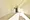 Ravient Asakusa Kototoi - Interior - ["Flooring", "Floor", "Ceiling"] thumbnail