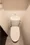 Azure Terrace Toyocho - Interior - ["Toilet seat", "Toilet", "Plumbing fixture"] thumbnail