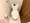 Wilterrace Morishita 3-Chome - Interior - ["Plumbing fixture", "Toilet seat", "Toilet"] thumbnail