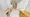 Hmlet Kinshicho II - Interior - ["Flooring", "Floor", "Interior design"] thumbnail