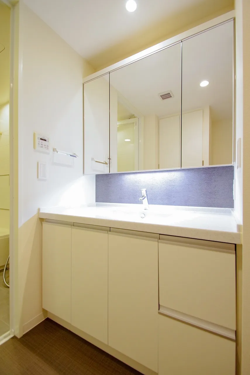 Central Park Tower La Tour Shinjuku - Interior - ["Cabinetry", "Countertop", "Tap"]