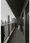 Tokyo Port City Takeshiba Residence Tower - Interior - ["Apartment", "High-rise building", "Balcony"] thumbnail