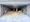 Comforia Takenotsuka East - Other - ["Floor", "Flooring", "Ceiling"] thumbnail