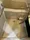 Valescia Shinagawa Minami City - Interior - ["Flooring", "Floor", "Plumbing"] thumbnail