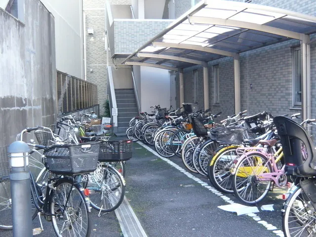 Grace Omori - Other - ["Land vehicle", "Wheel", "Bicycle"]