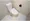 Crescer Nishikoyama - Interior - ["Toilet seat", "Toilet", "Bathroom"] thumbnail