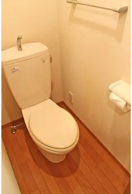 Sky Court Shiba Ichibankan - Interior - ["Toilet seat", "Toilet", "Plumbing fixture"]