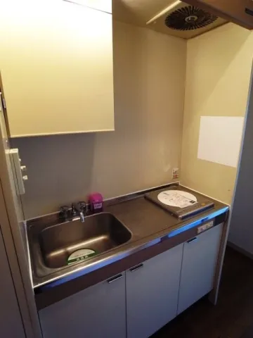 Green Capital Chitose Funabashi - Interior - ["Sink", "Kitchen Sink", "Plumbing fixture"]