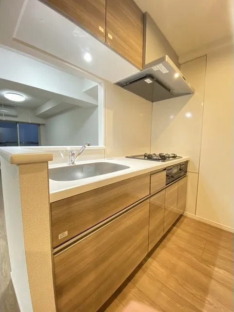 HF Shimoakatsuka Residence - Interior - ["Apartment", "Kitchen", "Cabinetry"]