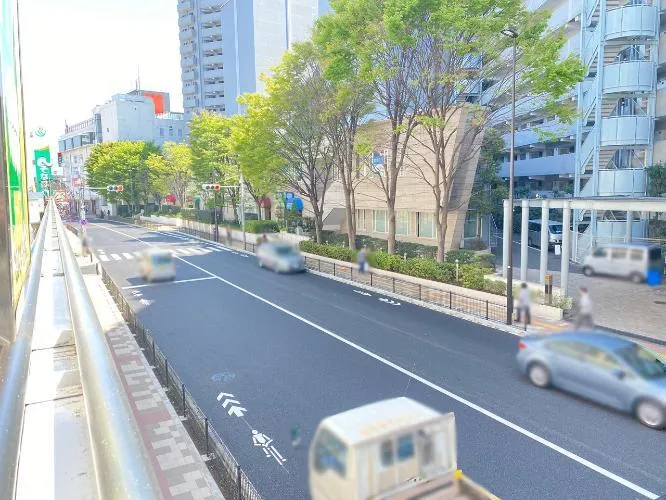 Hibarigaoka Plaza Room 209