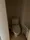 CAVANA Higashikomagata - Interior - ["Plumbing fixture", "Bathroom", "Plumbing"] thumbnail