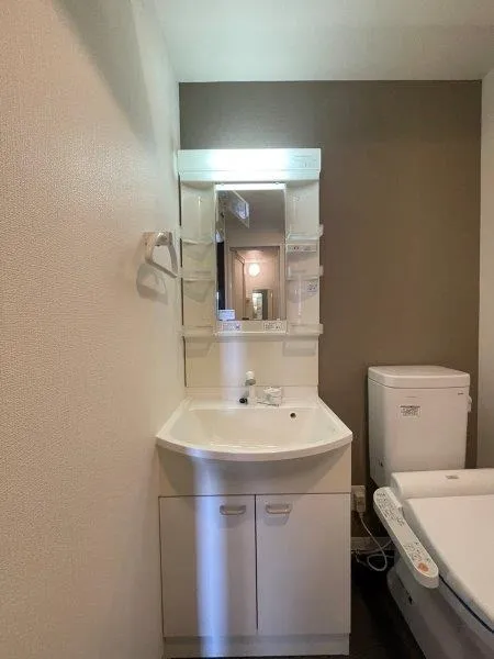 Wendy Ryogoku - Interior - ["Bathroom Sink", "Plumbing fixture", "Sink"]