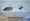 Sasazuka Flats - Interior - ["Tap", "Plumbing fixture", "Sink"] thumbnail