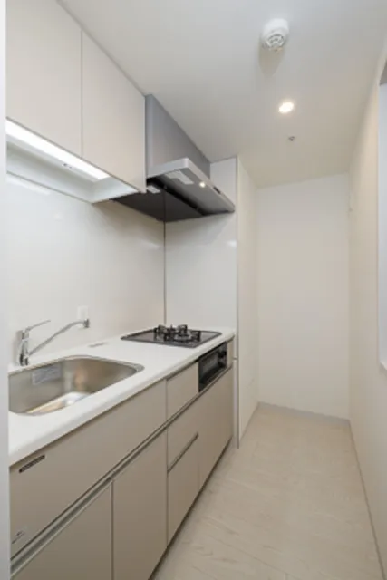 MA Tsukishima - Interior - ["Sink", "Cabinetry", "Tap"]
