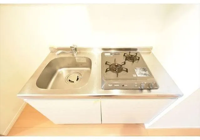 TS Yoyogi Park - Interior - ["Kitchen Sink", "Plumbing fixture", "Kitchen"]