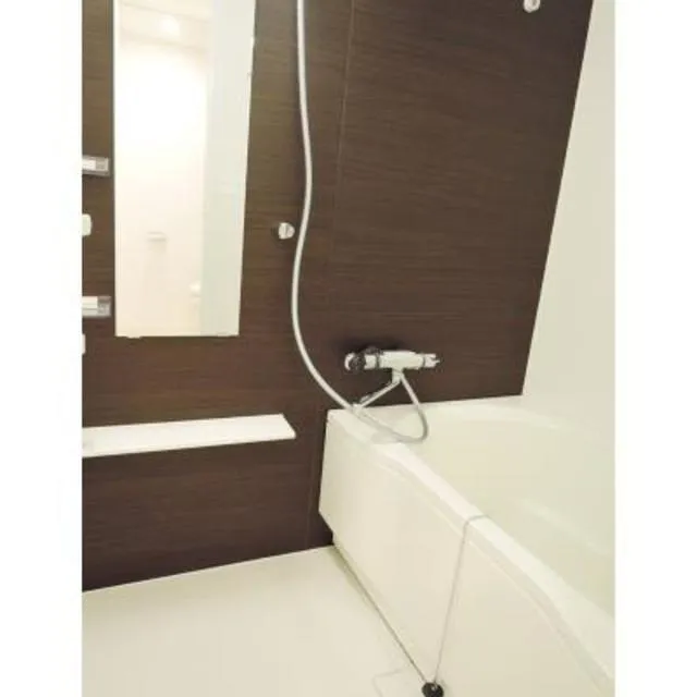 Park Axis Oshiage Terrace - Interior - ["Plumbing fixture", "Wood", "Floor"]