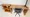 Hmlet Nishikoyama - Interior - ["Furniture", "Wood", "Desk"] thumbnail