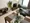 Weave Base - Itabashi Honcho - Interior - ["Furniture", "Flooring", "Interior design"] thumbnail